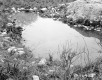 Burke Property, Pond in Field