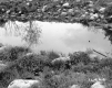 Burke Property, Pond in Field