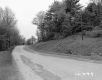 Hamilton Property, Forest along Rural Road