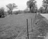 Stannard Property, Fenced Farm Field