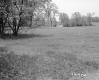 Stannard Property, Fenced Farm Field
