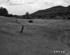 Field on the Harington Property with Shed and Barbed Wire Fence