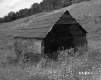 Shed on the Harrington Property