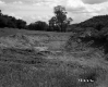 Excavated Land on the Harrington Property