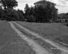 Dirt Road Through the Harrington Property