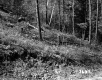 Eroded Hillside on the Pray Property