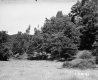 Forest on the Parnto Property