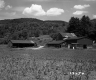 Barns and Agriculture Fields on the Parnto Property