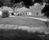 Dwelling and Sheds on the Barrett Property
