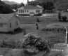 Wooden Framed Buildings on a Grassy Lawn