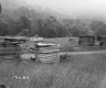 Wooden Pallets in a Field
