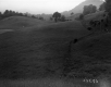 Hilly Landscape on the Gibson Property