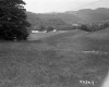 Field on the Stetson Property