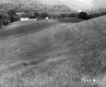 Field on the Stetson Property