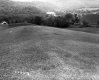 Field on the Stetson Property