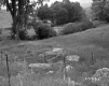 Field on the Stetson Property