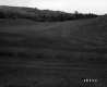 Field on the Stetson Property