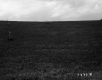 Field on the Stetson Property