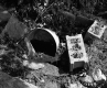 Debris Along Spring on the McDonald Property