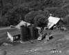 Farm Buildings on the McDonald Property