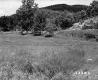 Field on the Grabowski Property