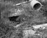 Human Constructs on the Grabowski Property
