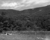 Angier Property