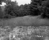 Herbert Property