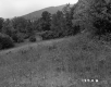 Field on the Herbert Property