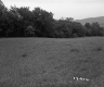 Field on the Herbert Property