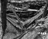 Broken Wooden Structure on the Proctor Property