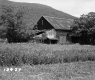 Barn on the Angier Property