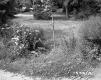 12 Maplewood Terrace, Backyard