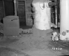 16 Maplewood Terrace, Cellar