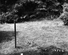 18 1/2 Maplewood Terrace, Backyard