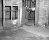 18 1/2 Maplewood Terrace, Cellar
