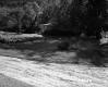 Dwelling on the Moran Property