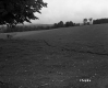 View of Field from Randolph State Highway