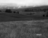 View of Landscape in Randolph