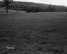 Field in Randolph
