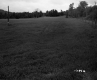 Field in Randolph
