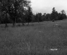 Field in Randolph