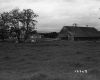 Barn and Dwelling on the Longley Property