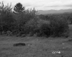 Field on the Longley Property