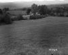 Field on the Longley Property