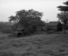Farm Buildings on the Williams Property