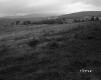 Field on the Voghell Property