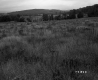 Field on the Voghell Property