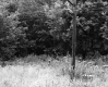 View of Powerlines and land belonging to Sanborn Oil Company of Hartford.