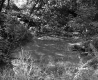 View of Pool in deciduous forest on land belonging to Sanborn Oil Company of Hartford